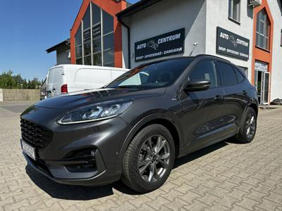 Ford Kuga III SUV 2.0 EcoBlue 190KM 2020