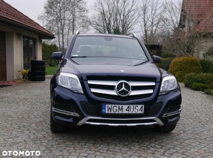 Mercedes-Benz GLK 200 CDI (BlueEFFICIENCY)