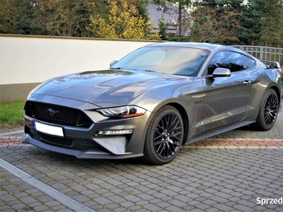 Ford Mustang GT 500 Performance 2019 idealny
