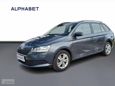 Skoda Fabia III Fabia 1.0 Ambition VAN Salon PL 1wł. f-vat 23% VAT-1