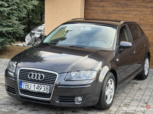 Audi A3 2007r, 1.9TDI 105KM, Org. Lakier, Nowy Rozrząd, Nowy Dwumas 8P (20…