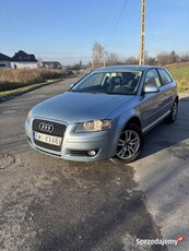 Audi A3 8p 1.6 MPI