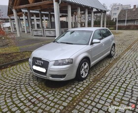 Audi A3 8P 2004r. 1.9Tdi Sportback Klimatronik Alufelgi