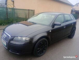 Audi A3 8p,1.9 tdi 105 koni,5 drzwi,2005r