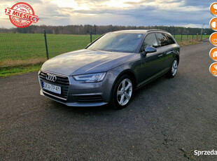 Audi A4 2.0TDI S-Tronic 30 TDI Navi LED Bezwypadkowy Gwarancja B9 (2015-)