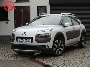 Citroen C4 Cactus I Krajowy, Bezwypadkowy, Navi, Kamera