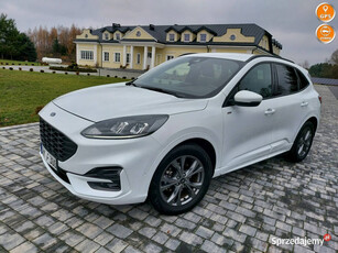 Ford Kuga 2.5HYBRYD 190km wersja ST-line Europa III (2019-)