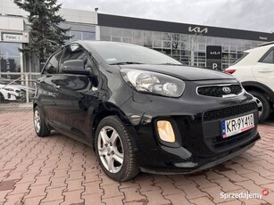 Kia Picanto 1.0 Business Line 2015 przebieg 64 000 km