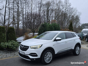 Opel Grandland X 1.5 BlueHDi 130KM / Bezwypadkowy / Serwisowany w ASO