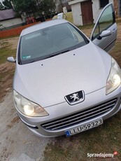 Peugot 407