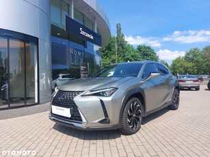 Używany Lexus UX 2019