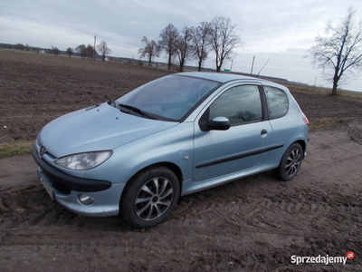 Peugeot 206 2.0 HDI