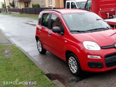 Używane Fiat Panda III (2011-) bezwypadkowy , pierwszy właściciel , serwisowany