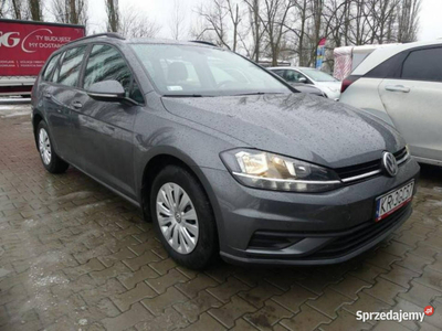 Volkswagen Golf VII (2012-)