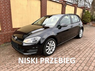 Volkswagen Golf VII benzyna 97 tys. km serwisowany model 2014