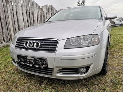 Audi A3 8P Hatchback 3d 1.6 102KM 2004