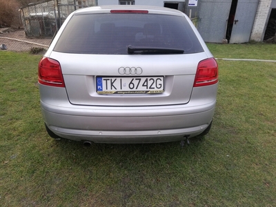 Audi A3 8P Hatchback 3d 1.6 102KM 2007