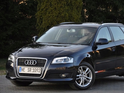 Audi A3 8P Hatchback 3d 1.8 TFSI 160KM 2010