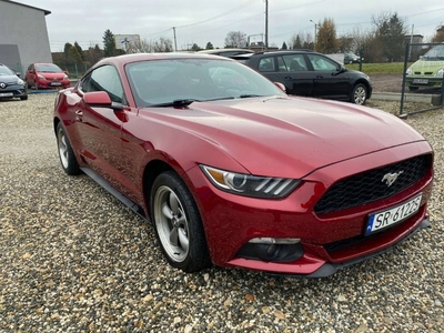 Ford Mustang VI Convertible 2.3 EcoBoost 317KM 2016