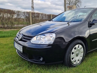 Volkswagen Golf V Hatchback 1.9 TDI 105KM 2004