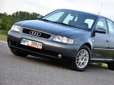 Audi A3 8L Hatchback 1.6 i 102KM 2003