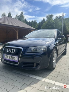 Audi A3 8P 2.0 TDI