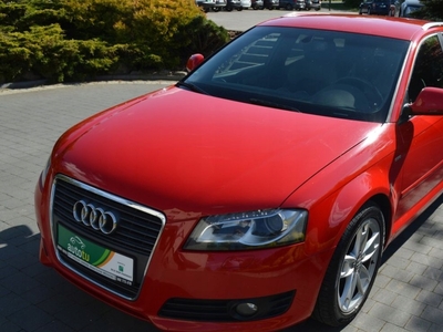 Audi A3 8P Hatchback 3d 1.4 TFSI 125KM 2009