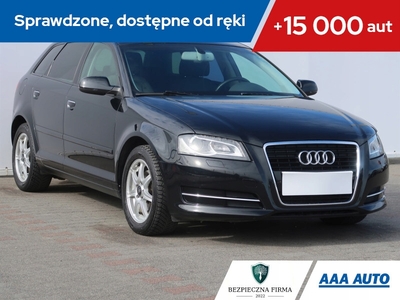 Audi A3 8P Hatchback 3d 1.4 TFSI 125KM 2010