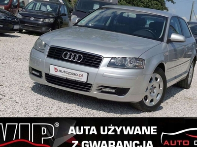 Audi A3 8P Hatchback 3d 1.6 102KM 2004