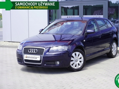 Audi A3 8P Hatchback 3d 1.6 102KM 2006