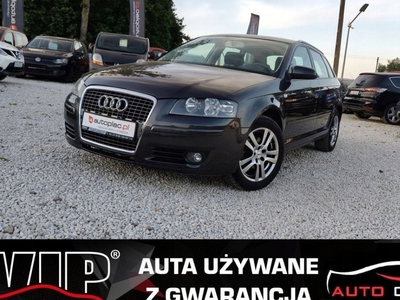 Audi A3 8P Hatchback 3d 1.6 102KM 2007