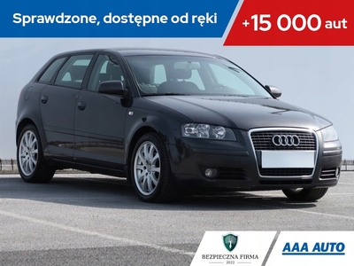 Audi A3 8P Hatchback 3d 1.9 TDI 105KM 2005