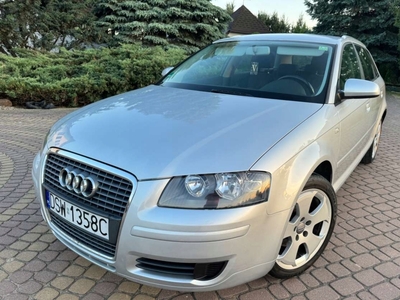 Audi A3 8P Hatchback 3d 1.9 TDI 105KM 2005