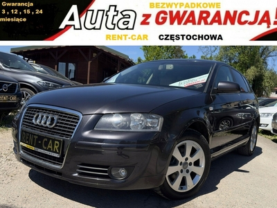 Audi A3 8P Hatchback 3d 1.9 TDI 105KM 2008