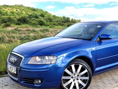 Audi A3 8P Hatchback 3d 2.0 TDI PD 170KM 2007