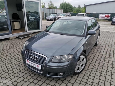 Audi A3 II (8P)