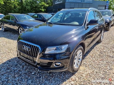 Audi Q5 2.0 TDI HAK Radar Kamera Skóra Nawigacja Bi Xenon Led