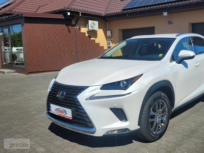 Lexus NX NX 14- NX 300 Elegance AWD 4x4 2.0 Turbo 238KM Salon Polska Serwis ASO FV 2