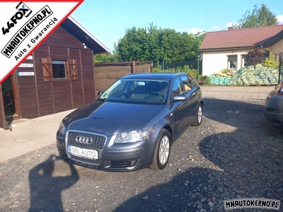 Audi A3 8P Hatchback 3d 1.6 102KM 2008