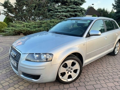 Audi A3 8P Hatchback 3d 1.9 TDI 105KM 2005