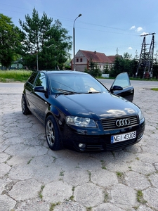 Audi A3 II (8P) Audi A3 8P 2.0 TFSI 200 / 250 km