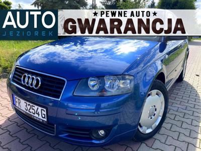 Audi A3 8L Hatchback 1.6 i 102KM 2003