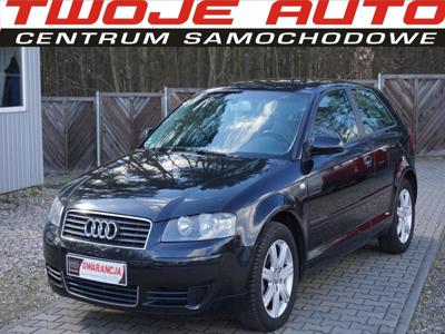 Audi A3 8P Hatchback 3d 1.6 102KM 2005