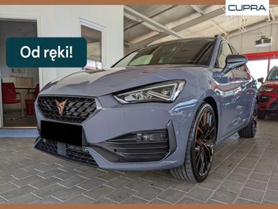 Cupra 2023