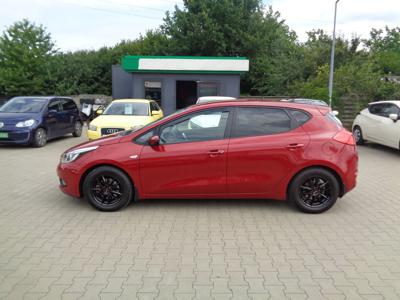 Używane Kia Ceed - 41 900 PLN, 115 000 km, 2014