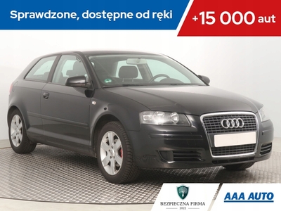 Audi A3 8P Hatchback 3d 1.6 102KM 2006