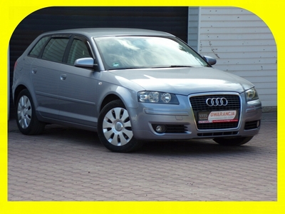 Audi A3 8P Hatchback 3d 1.6 FSI 115KM 2005