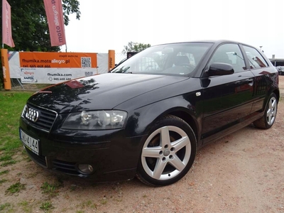 Audi A3 8P Hatchback 3d 2.0 FSI 150KM 2004