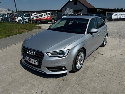 Audi A3 8V Hatchback 3d 1.6 TDI 105KM 2013