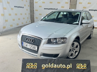 Audi A3 II (8P)